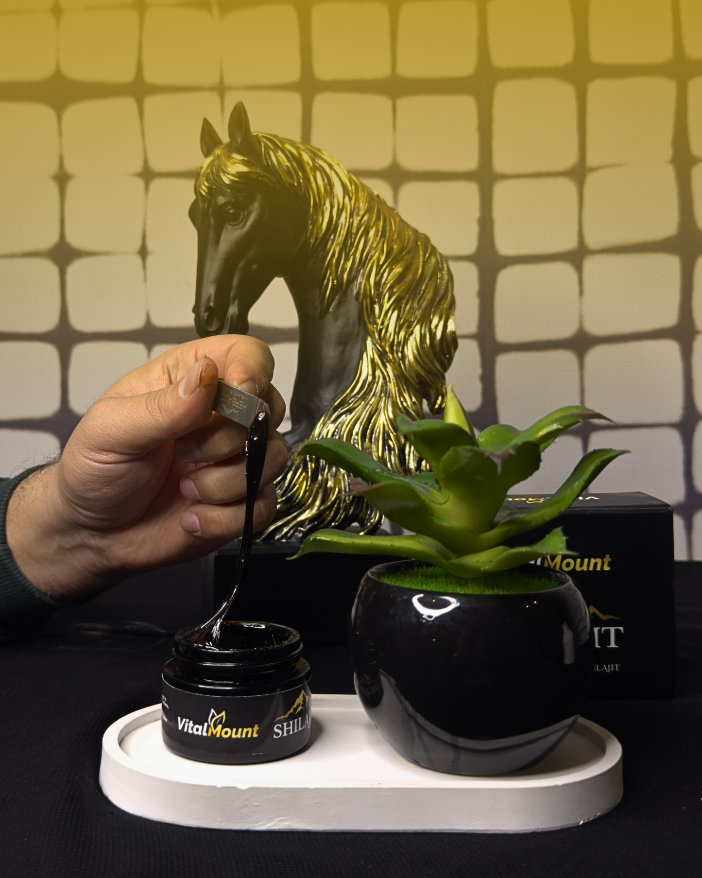 Vital Mount Pure Himalayan Shilajit Resin 30g – Pakistan | شیلاجیت