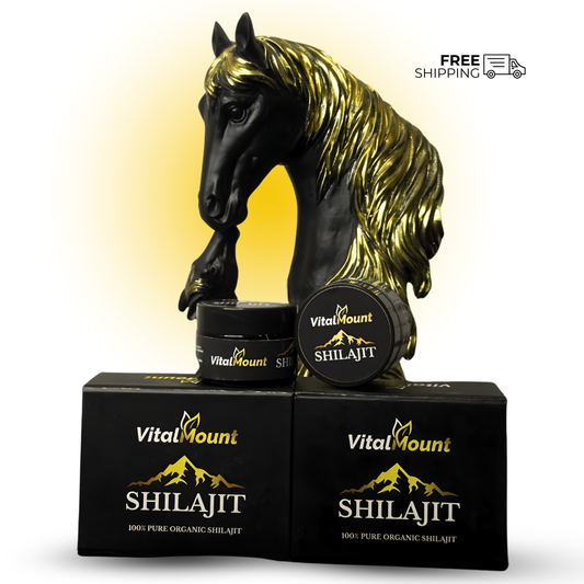 Vital Mount Pure Himalayan Shilajit Resin 30g – Pack of 2 Pakistan | شیلاجیت