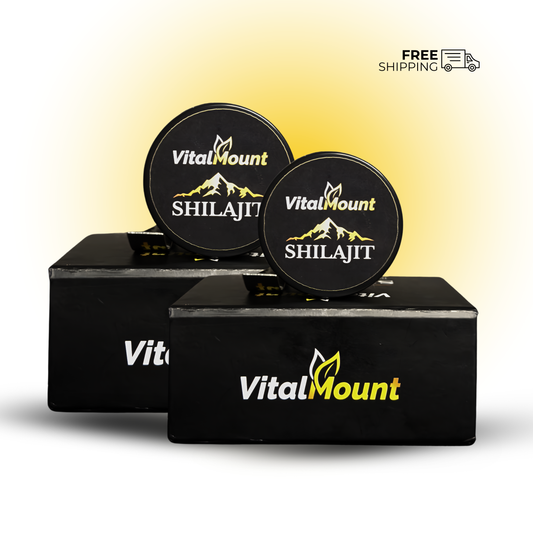 Vital Mount Pure Himalayan Shilajit Resin 30g – Pack of 2 Pakistan | شیلاجیت