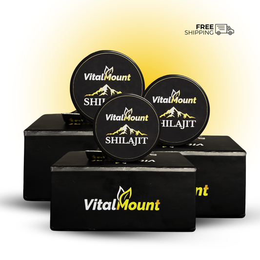 Vital Mount Pure Himalayan Shilajit Resin 30g – Pack of 3 Pakistan | شیلاجیت