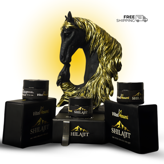 Vital Mount Pure Himalayan Shilajit Resin 30g – Pack of 3 Pakistan | شیلاجیت